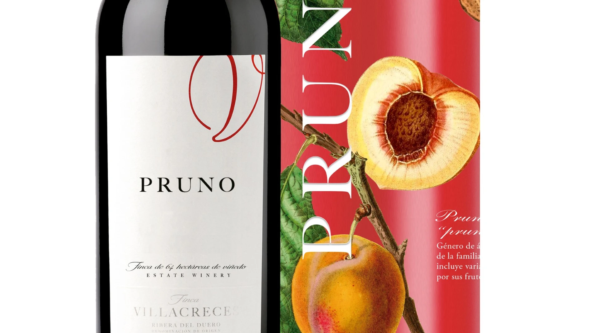 Añada de 2021 del vino Pruno