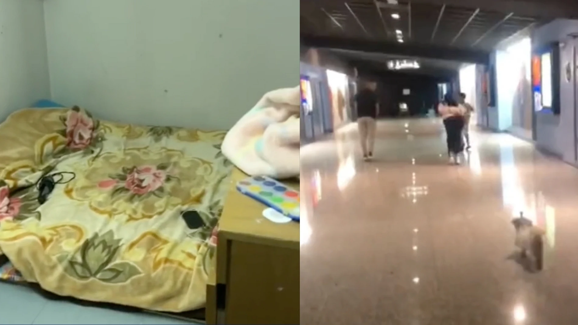 Vídeo de TikTok