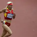 Marta Domínguez, en Londres 2012