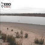 Imagen de hoy mismo de la laguna de Santa Olalla, en Doñana, seca en agosto