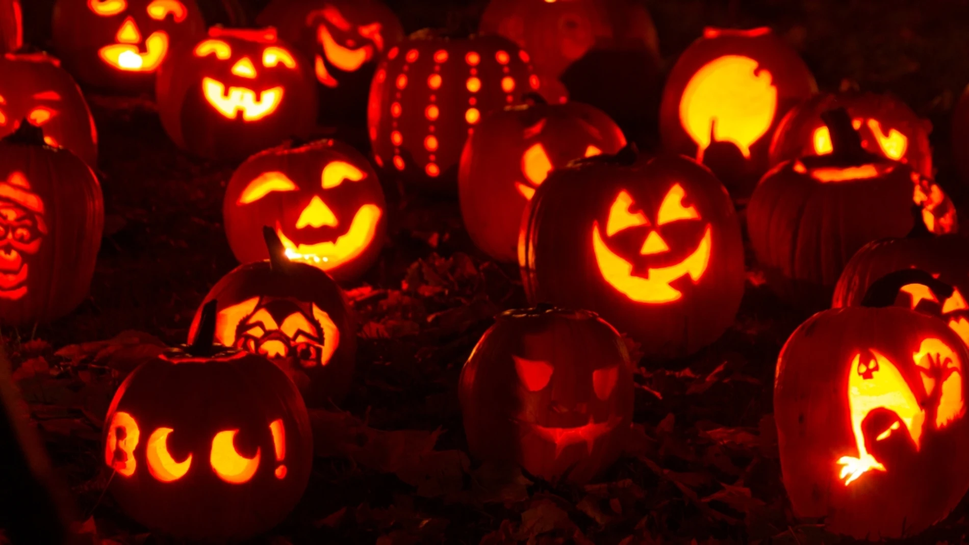 Calabazas de Halloween