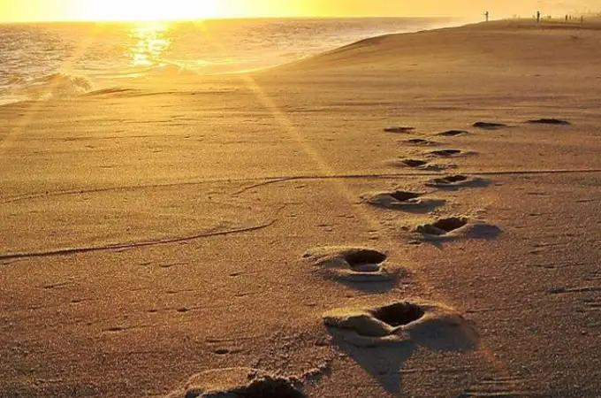 Nuestras huellas no se las lleva el viento Nuestras huellas no se las lleva el viento