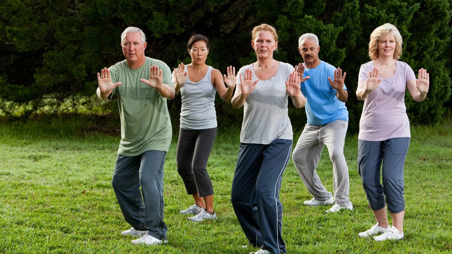 tai chi ejercicio deterioro cognitivo demencia