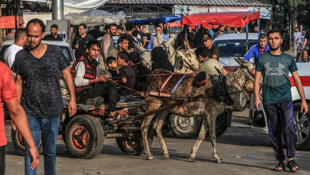 Israeli-Palestinian conflict -Rafah