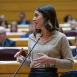 Irene Montero en el Pleno del Senado. David Jar