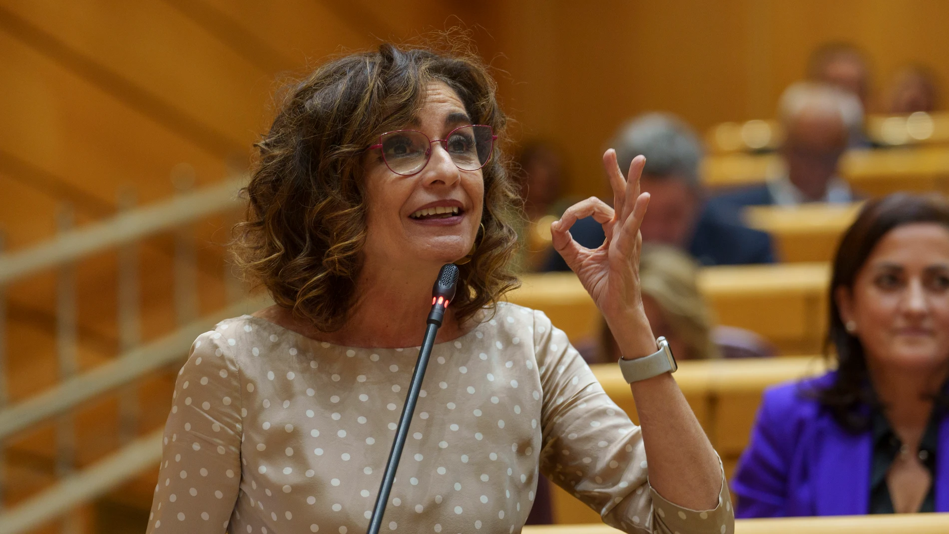 Maria Jesus Montero en el Pleno del Senado