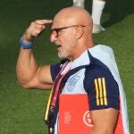  Luis de la Fuente, seleccionador español