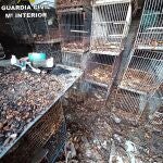 Estado en el que tenían a los animales en la finca de Jerez