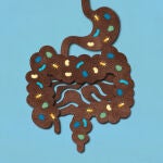 Microbiota Microbiota