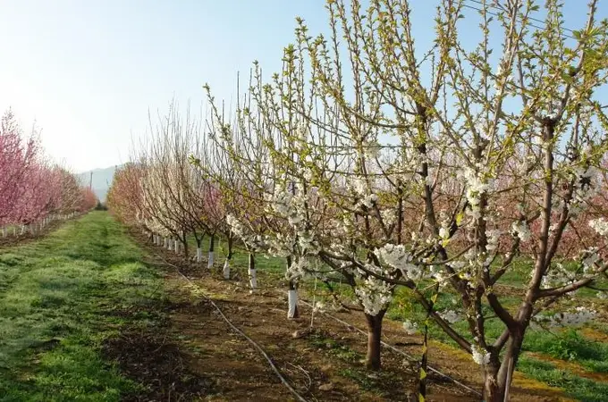 El cambio climático no admite una amnistía El cambio climático no admite una amnistía