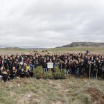 Voluntarios de Renault planta 2.500 árboles en tres hectáreas de Villaviudas (Palencia) 