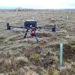 Land Life, una década al frente de la reforestación inteligente