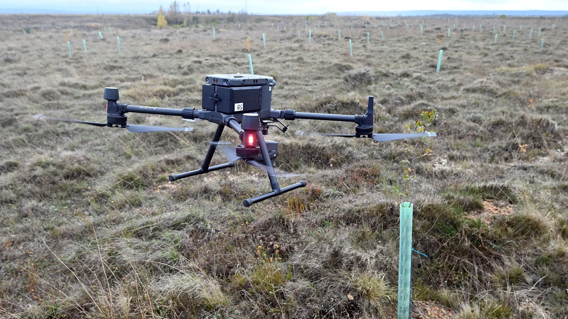 Land Life, una década al frente de la reforestación inteligente