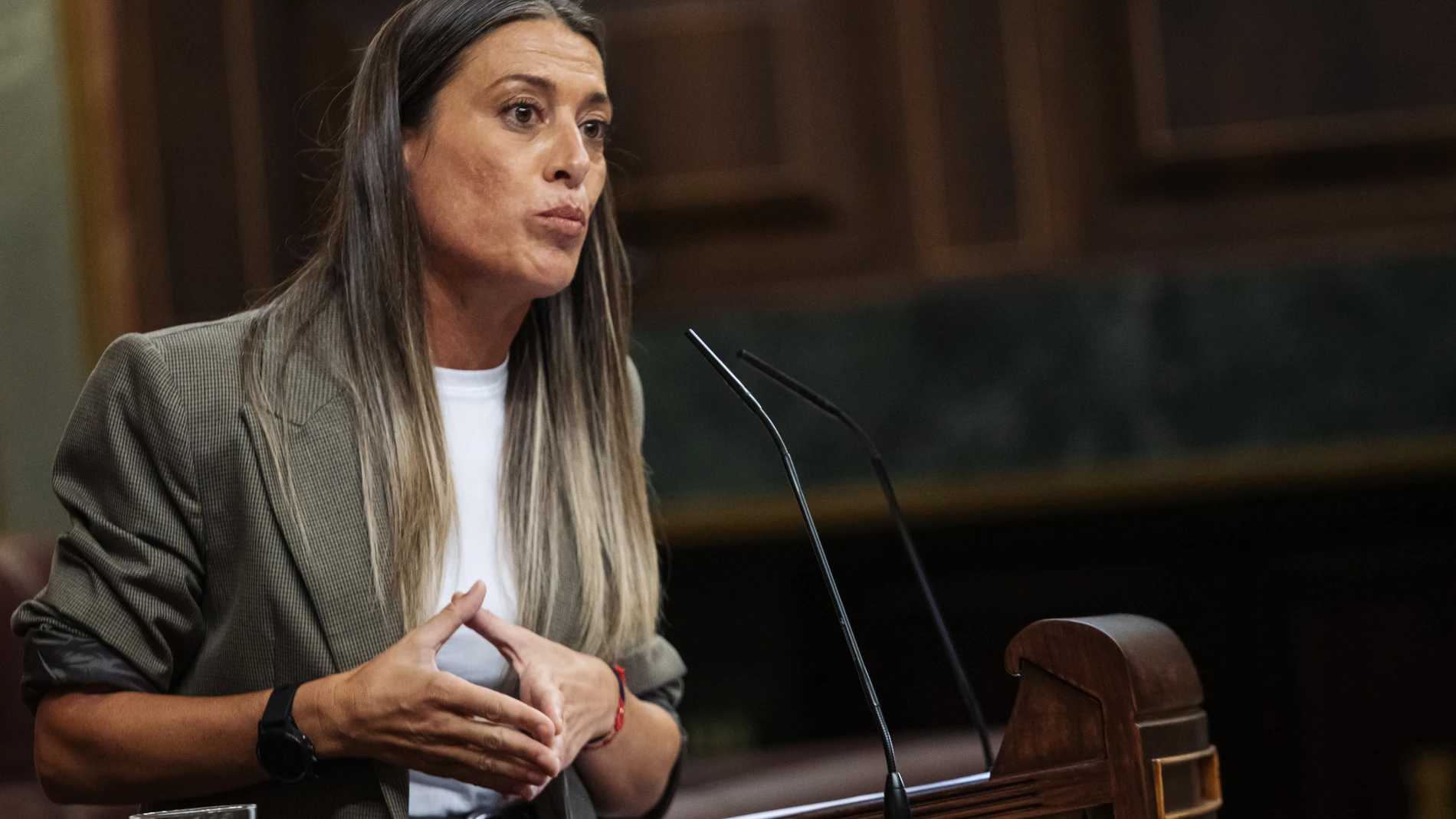 Nogueras (Junts) asegura que la ley de amnistía que se registre será la que han negociado Junts y PSOE