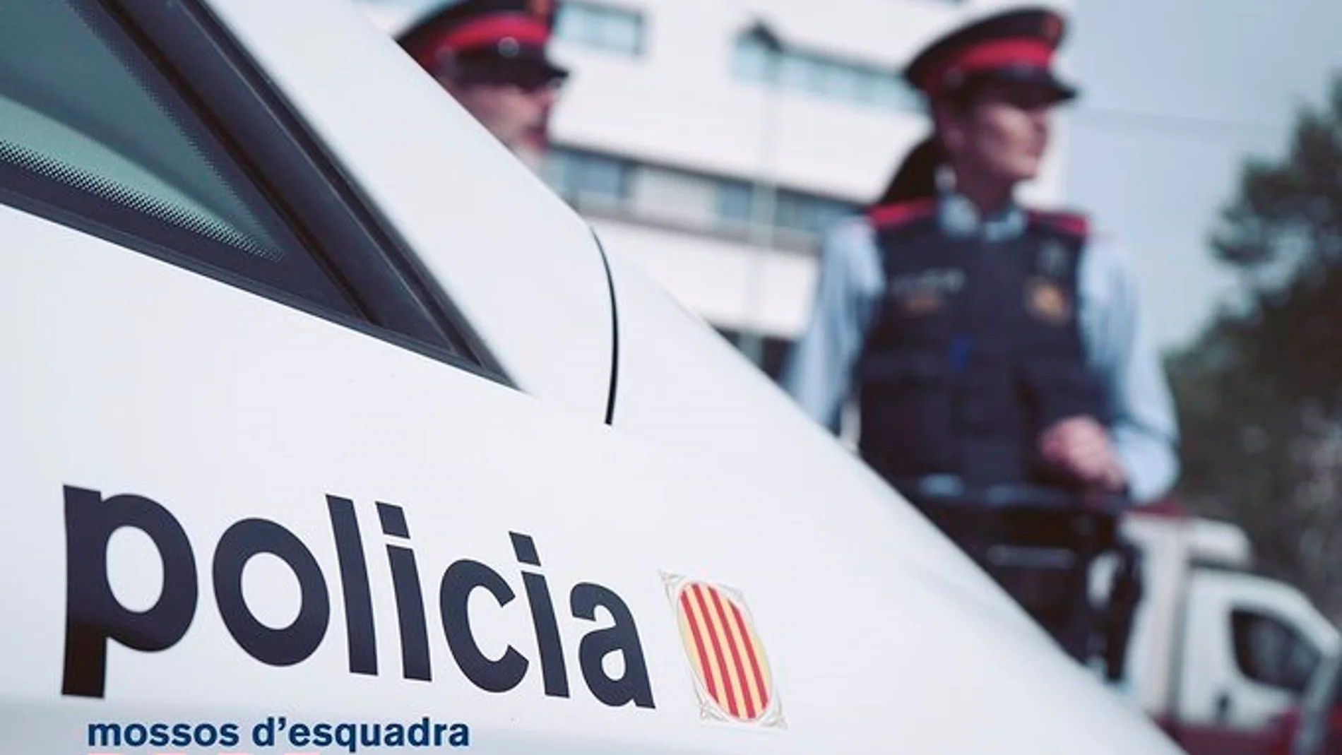 Los Mossos se ocuparon de las detenciones