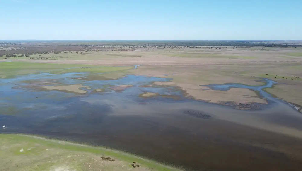 Doñana, tras las lluvias de las últimas semanas