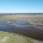 Doñana, tras las lluvias de las últimas semanas