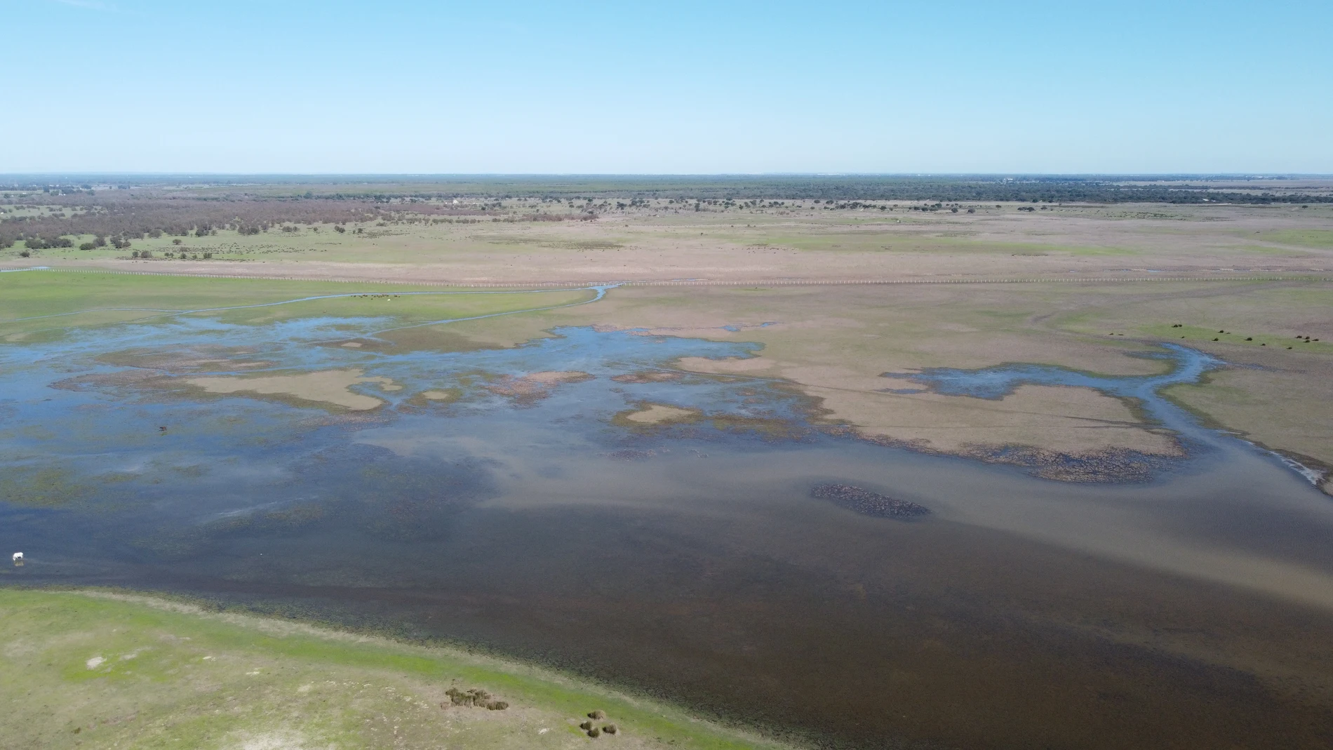 Doñana, tras las lluvias de las últimas semanas