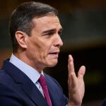 El presidente del gobierno, Pedro Sanchez, en el pleno de investidura en el Congreso de los Diputados. © Alberto R. Roldán / Diario La Razón. 15 11 2023