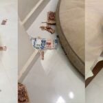 El tierno gesto de un perrito tras devorar los ahorros de su dueña