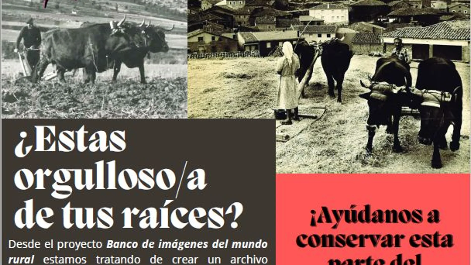 Cartel anunciador con el que promueven este banco de imágenes entre los burgaleses