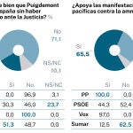 ENCUESTA Amnistía NC REPORT