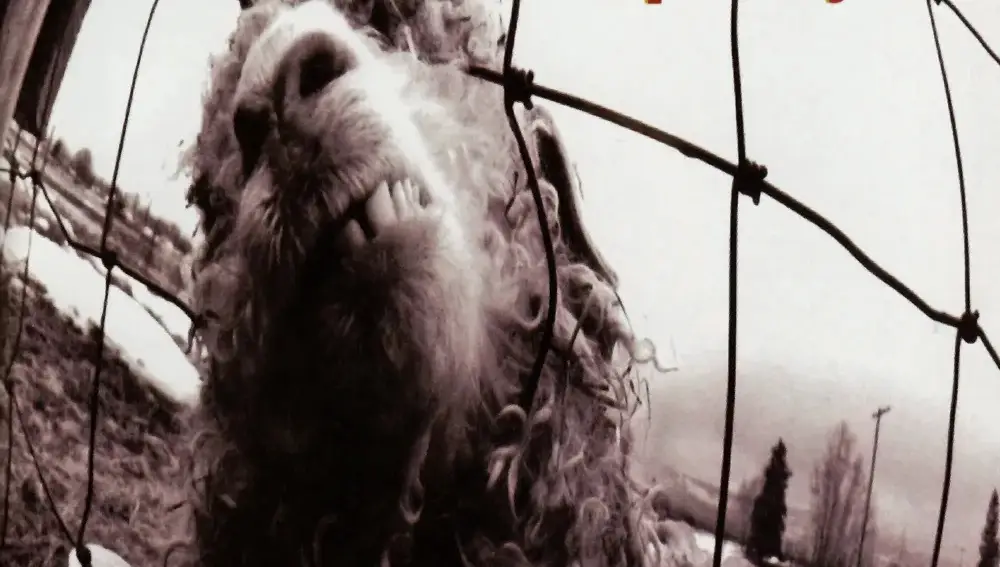 Portada de "Vs.", el segundo disco de Pearl Jam