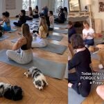 En la actualidad, hay dos empresas que llevan a cabo esta actividad en Madrid