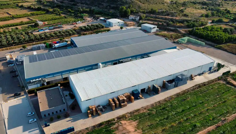 La empresa aragonesa cuenta con especialistas en tratamientos y cuidados de los árboles frutales