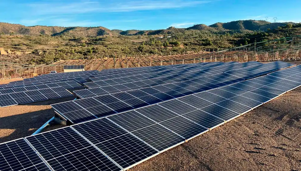 Guimera Select Fruits impulsa nuevos proyectos y actuaciones para conseguir un desarrollo sostenible sin renunciar a la calidad de sus productos