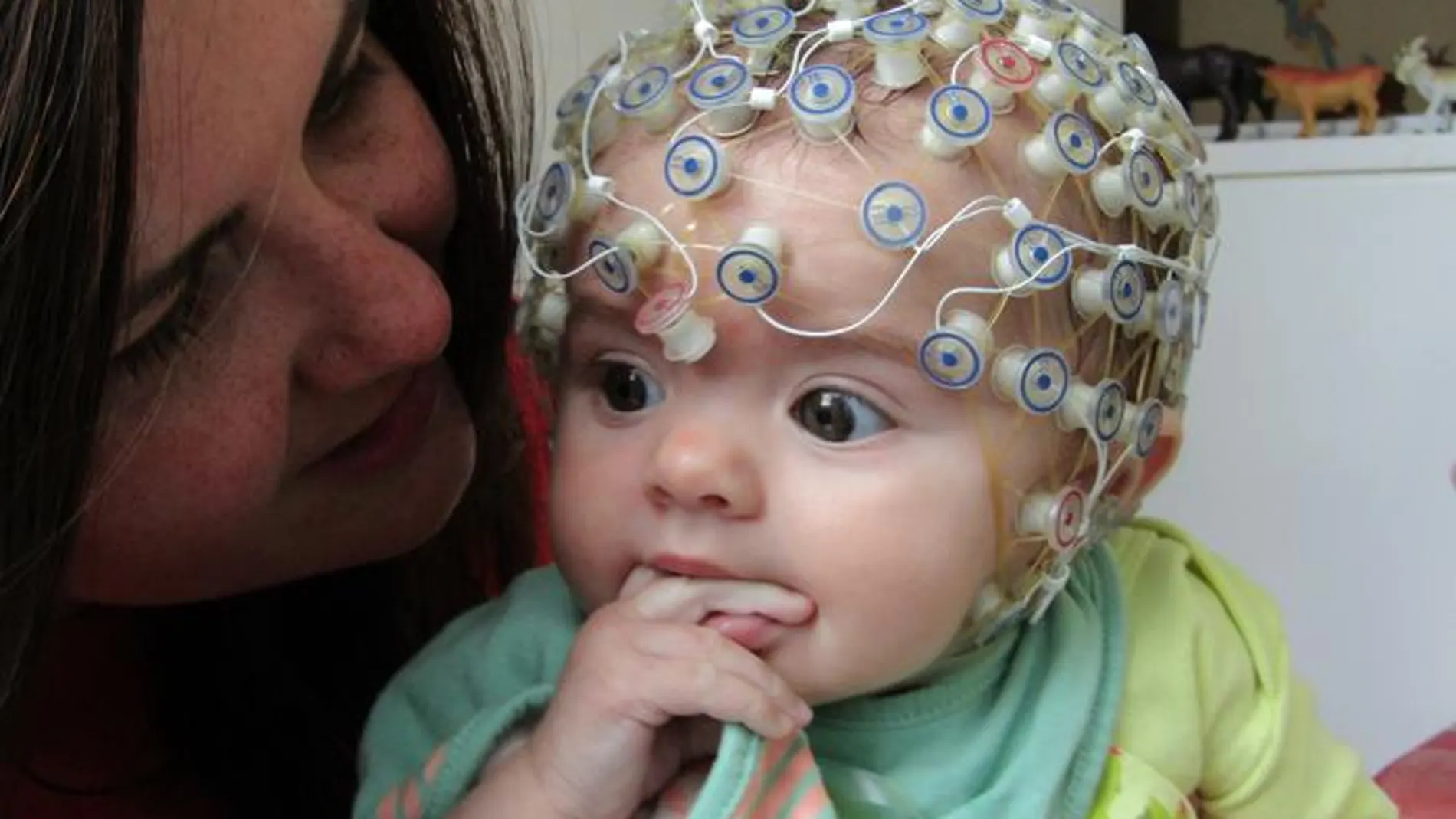 bebé cerebro conciencia humana