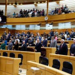 Pleno del Senado