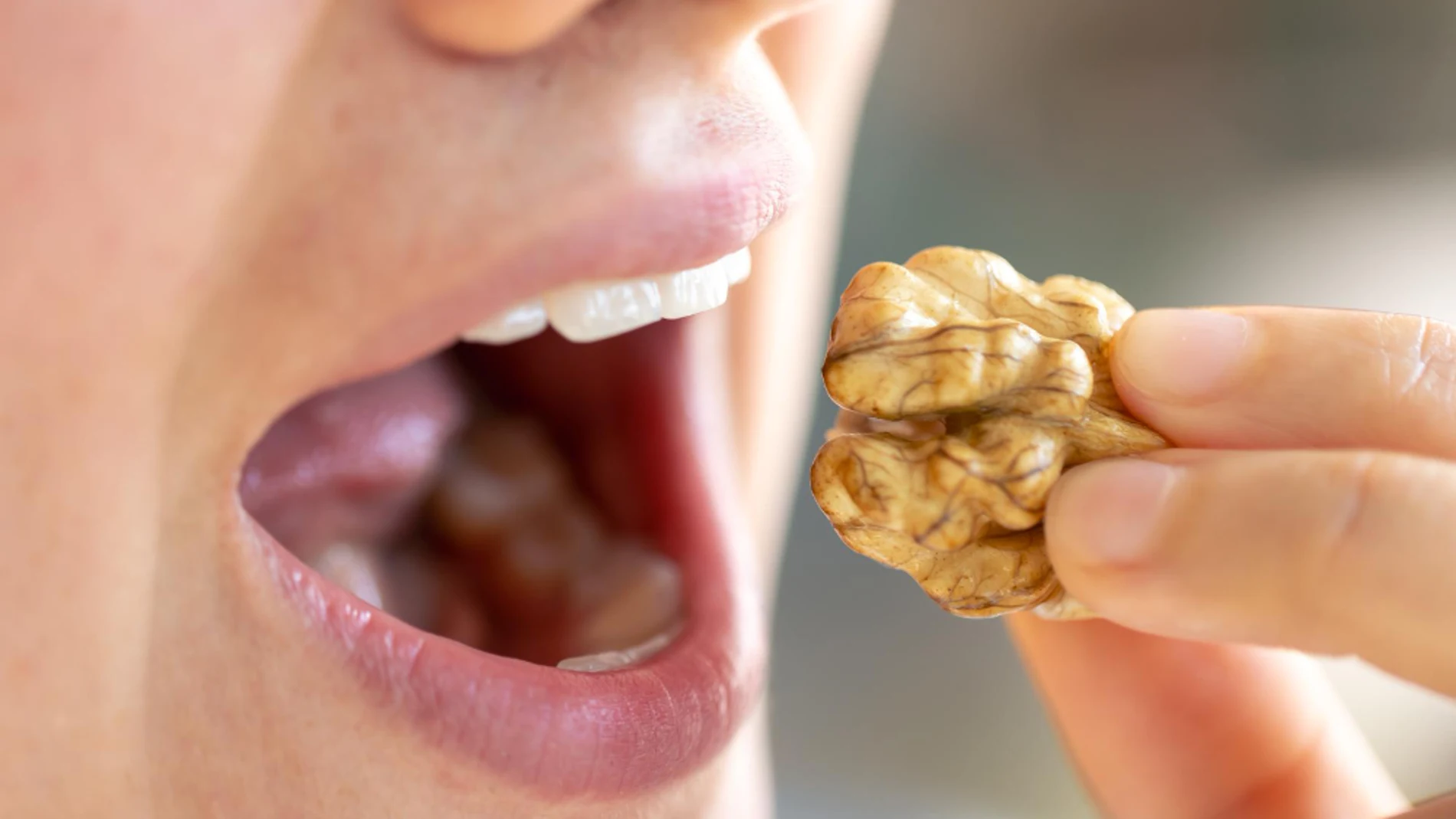nuez frutos secos omega 3