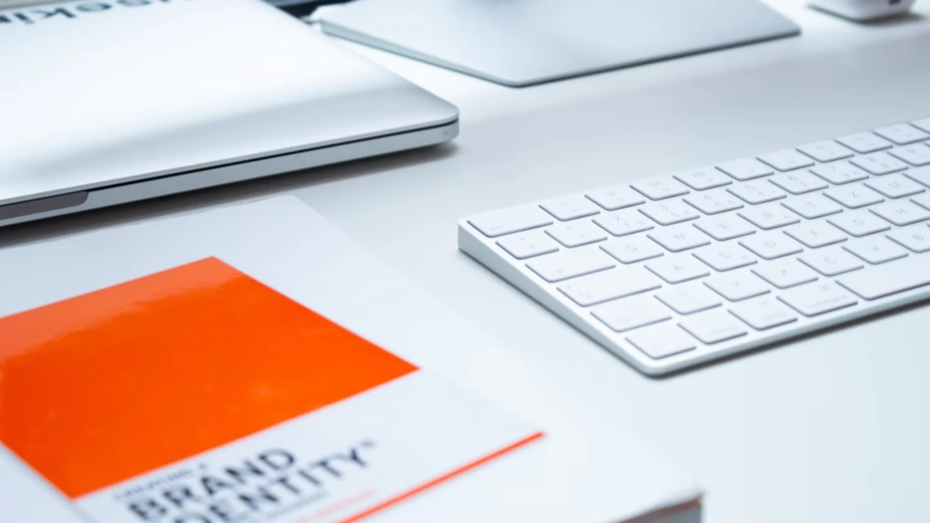 Al provechar las tendencias del branding, una marca es capaz de destacarse entre la competencia.
