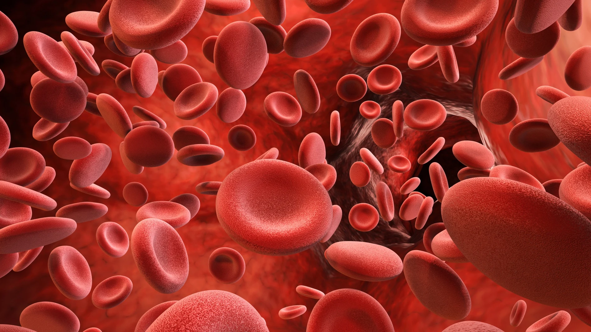 Glóbulos rojos