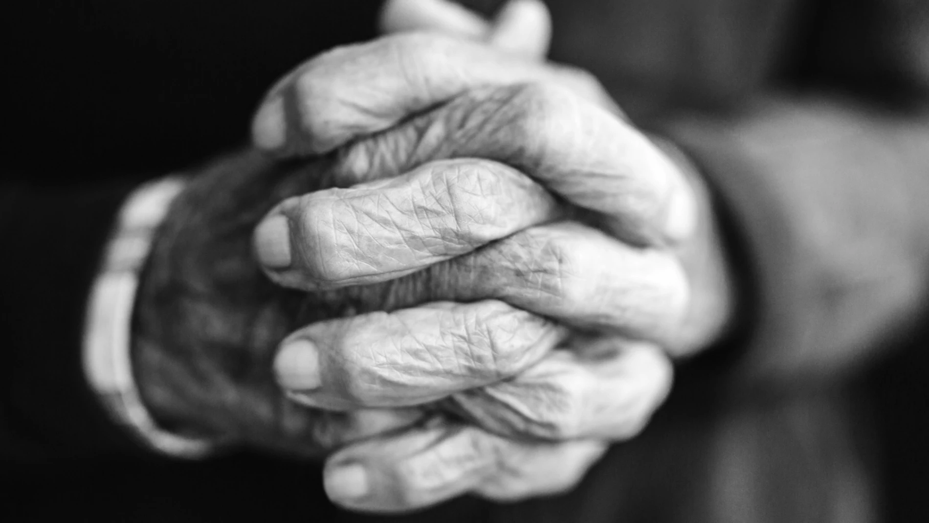 Visitar con frecuencia a nuestros mayores prolonga sus vidas, según un ...