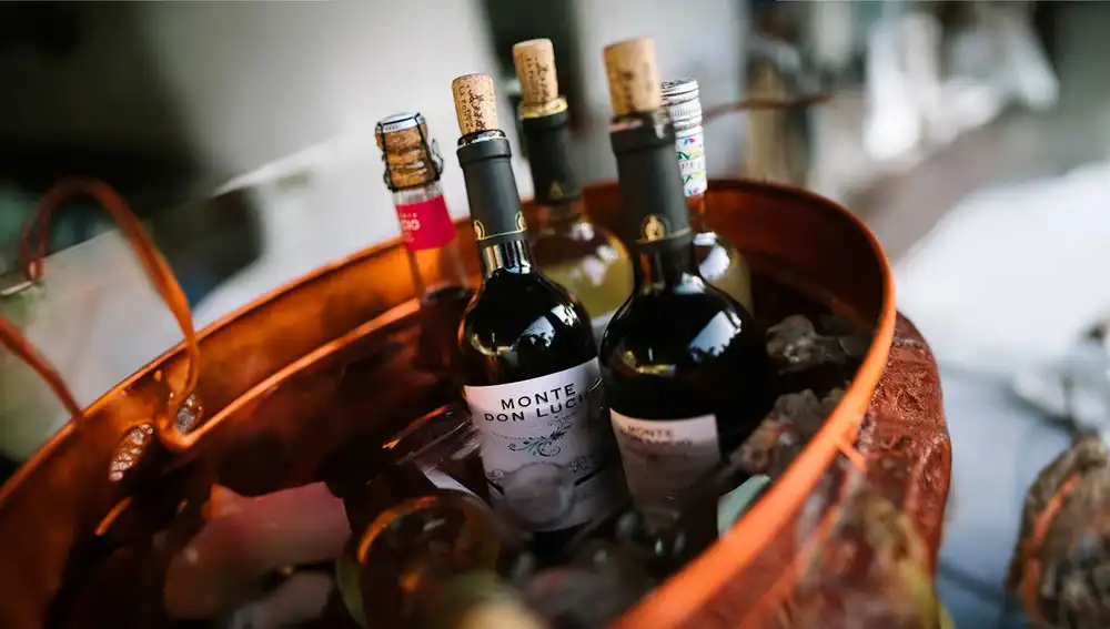 Diversos vinos elaborados por