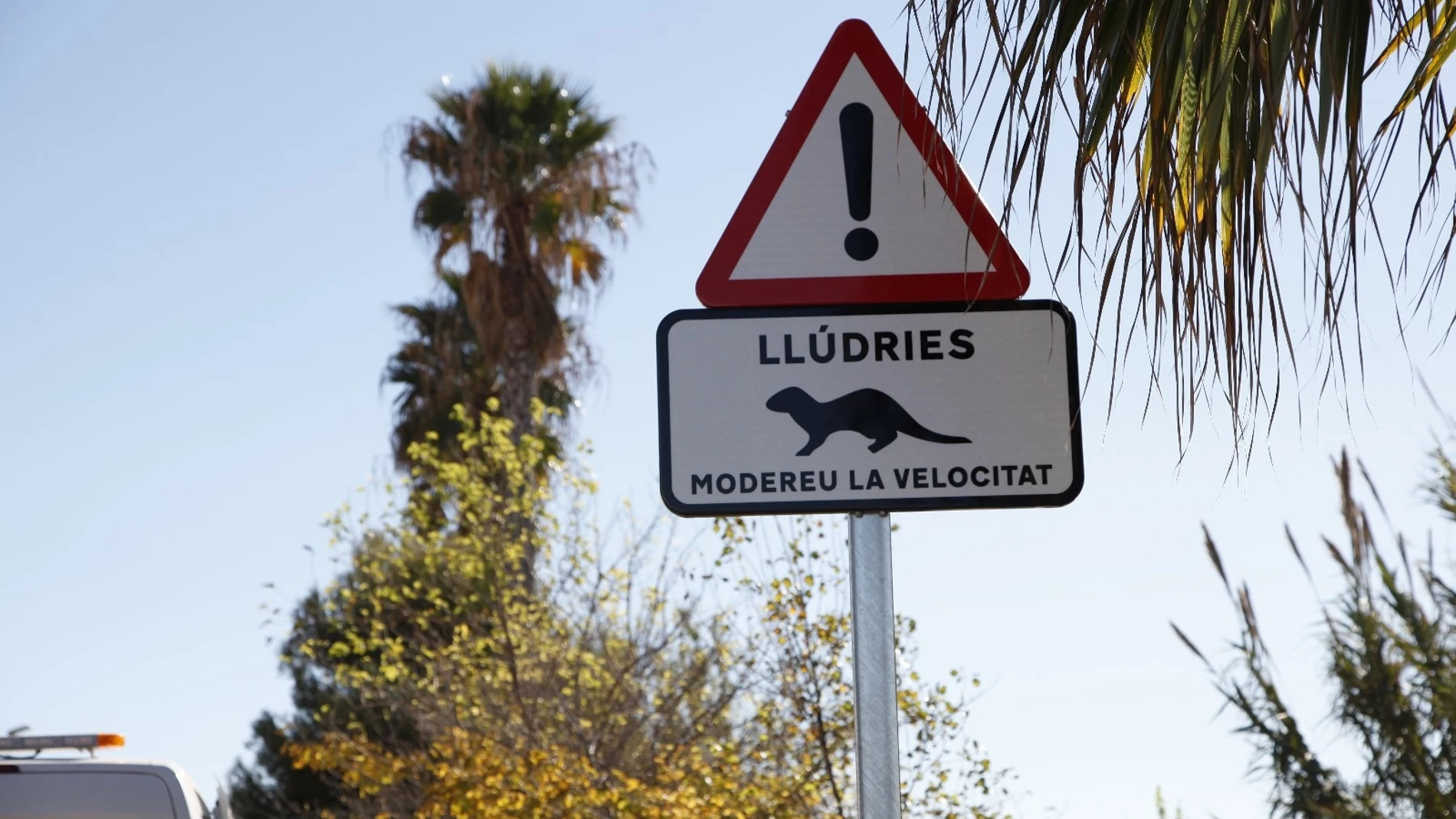 El Consorcio Río Mijares instala señales para prevenir el atropello de nutrias CONSORCIO RÍO MIJARES 24/11/2023