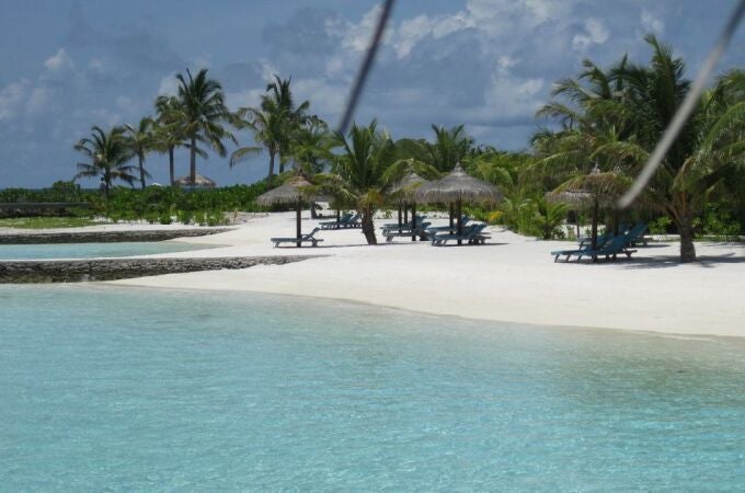 En una paradisíaca isla de las Maldivas, logran erradicar los mosquitos sin el uso de productos químicos