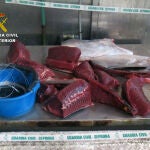 Trasladaron el atún capturado en una embarcación de recreo, careciendo, además, de titulación náutica para navegar