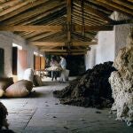 «Uno de los mercados que mejor nos funciona es el alemán. Un cliente fiel y fiable», aseguran en la Fábrica de Mantas del municipio