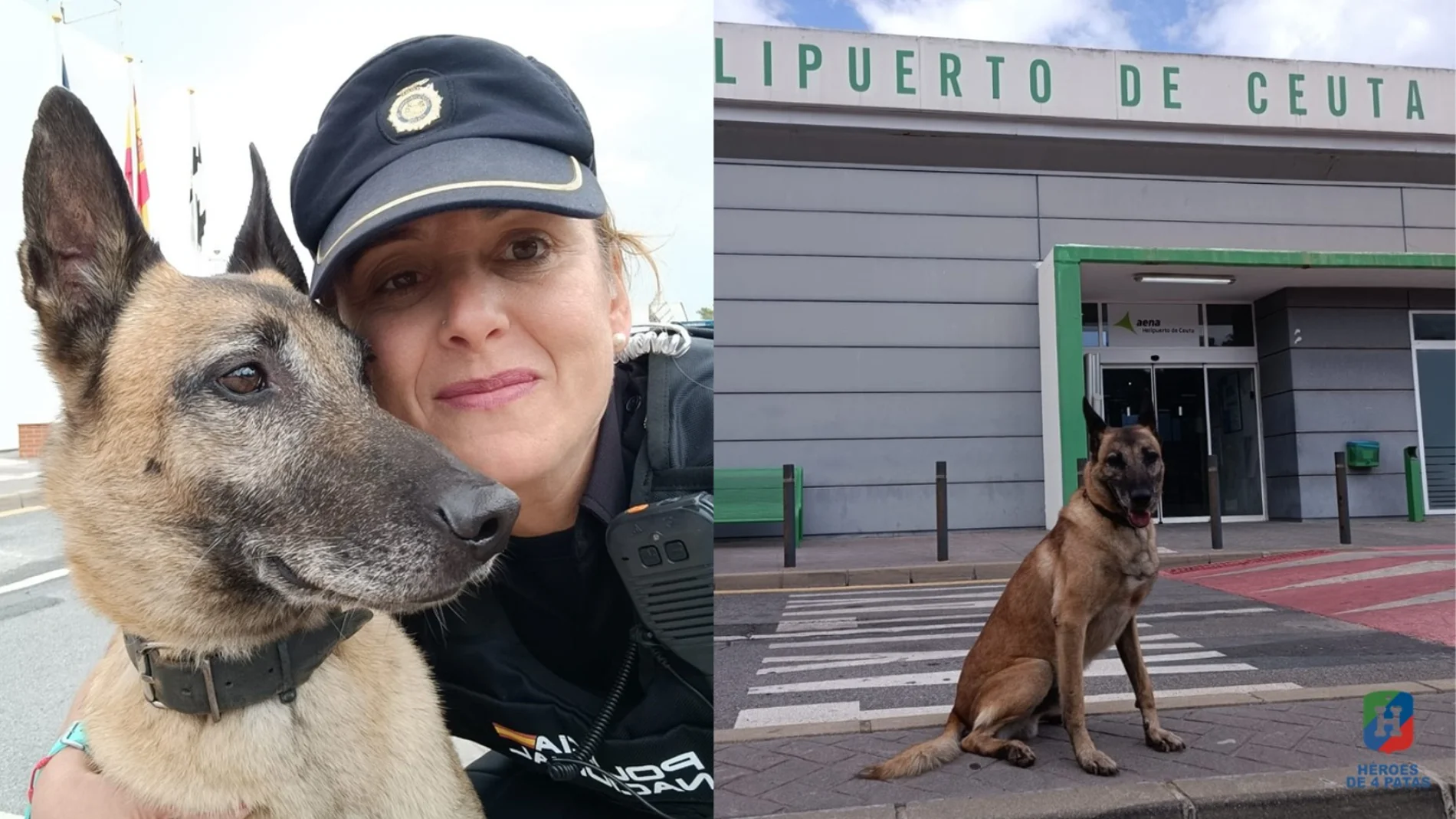 Atila, perro policía