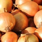 Inventan en Galicia una cebolla que conserva su frescura durante seis meses
