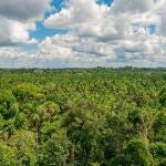 Amazonia ecuatoriana 