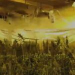 Un aspecto de la plantación