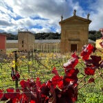  La bodega de Arínzano y sus tres edificios históricos están integrados armónicamente en el paisaje