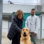 La Reina Doña Sofía visita el Centro Municipal de Protección Animal de Las Rozas 