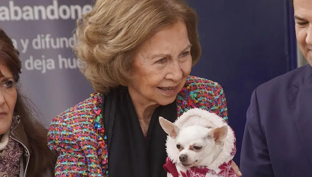 La Reina Sofía, volcada en su amor por los animales tras salir a la luz el chantaje de Bárbara Rey a Don Juan Carlos
