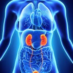 Stanford Medicine encuentra una manera de predecir cuál de nuestros órganos fallará primero