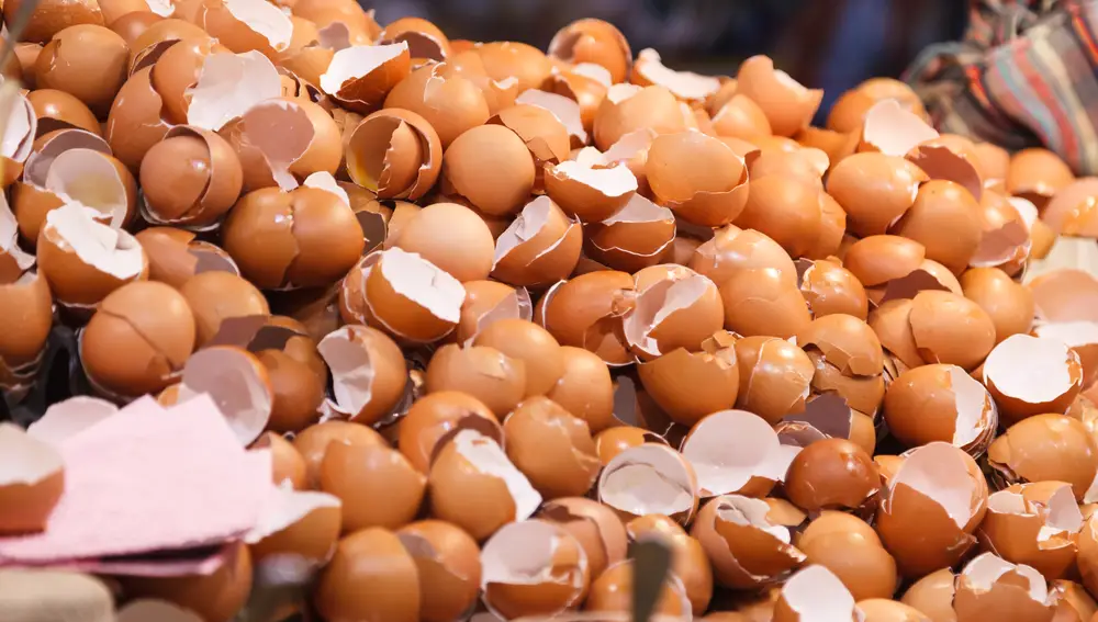Cáscaras de huevos